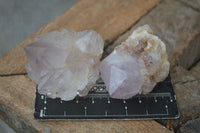 Natural Single Spirit Cactus Quartz Crystals  x 24 From Boekenhouthoek, South Africa - Toprock Gemstones and Minerals 