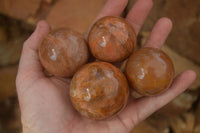 Polished Flashy Peach Moonstone Spheres  x 6 From Madagascar - Toprock Gemstones and Minerals 