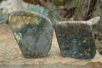 Polished Labradorite Standing Free Forms  x 2 From Tulear, Madagascar - TopRock