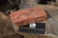 Natural New Sunset Orange Calcite Specimens  x 3 From Spitzkop, Namibia