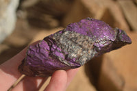 Natural Metallic Purpurite Cobbed Specimens  x 6 From Erongo, Namibia - Toprock Gemstones and Minerals 