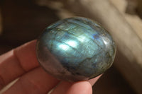 Polished  Flashy Labradorite Palm Stones  x 20 From Tulear, Madagascar