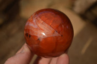 Polished  Carnelian Agate Spheres  x 3 From Madagascar