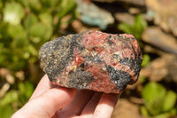 Natural Rough Pink & Black Rhodonite Specimens  x 6 From Zimbabwe - TopRock