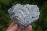 Natural Sky Blue Calcite Specimens With Hematite Spots  x 12 From Spitzkoppe, Namibia - Toprock Gemstones and Minerals 