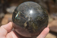 Polished Labradorite Sphere With Subtle Flash  x 1 From Tulear, Madagascar - TopRock