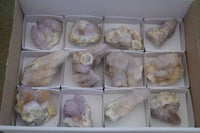 Natural Spirit Amethyst Spirit Quartz Clusters  x 12 From Southern Africa - Toprock Gemstones and Minerals 