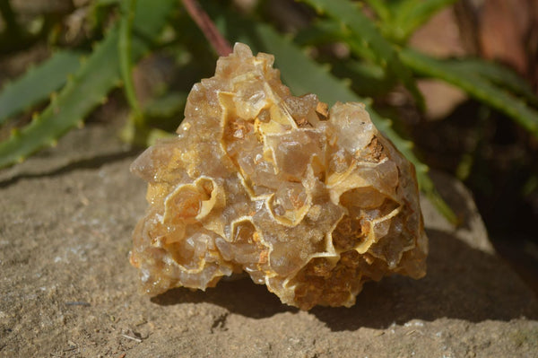 Natural Limonite Quartz Clusters x 6 From Solwezi, Zambia