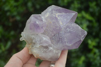 Natural Jacaranda Amethyst Clusters  x 3 From Mumbwa, Zambia - Toprock Gemstones and Minerals 