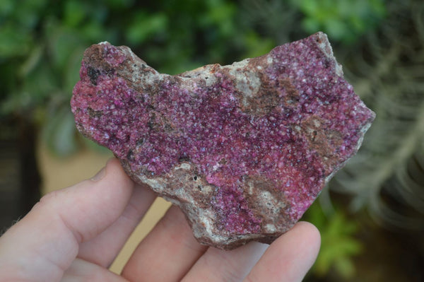 Natural Pink Salrose Cobaltion Dolomite Specimens  x 4 From Kakanda, Congo - Toprock Gemstones and Minerals 