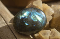 Polished  Flashy Labradorite Palm Stones  x 20 From Tulear, Madagascar