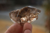 Natural Gorgeous Clear / Smokey Window Brandberg Quartz Crystals x 12 From Brandberg, Namibia