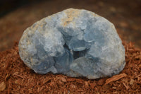 Natural Blue Celestite Crystal Specimens  x 3 From Sakoany, Madagascar - Toprock Gemstones and Minerals 