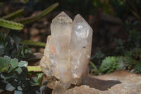 Natural Large Multi Terminated Quartz Crystal Point x 1 From Angola