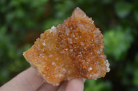 Natural Mixed Spirit Quartz Specimens  x 6 From Boekenhouthoek, South Africa - Toprock Gemstones and Minerals 