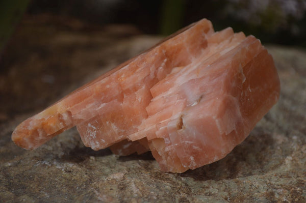 Natural New Sunset Orange Calcite Specimens x 12 From Spitzkop, Namibia