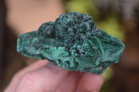 Natural Chatoyant Silky Malachite Specimens  x 12 From Kasompe, Congo