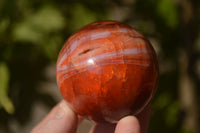 Polished  Carnelian Agate Spheres  x 3 From Madagascar