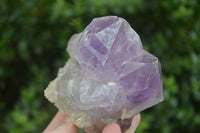 Natural Jacaranda Amethyst Clusters  x 3 From Mumbwa, Zambia - Toprock Gemstones and Minerals 