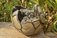 Polished Septerye Sauvage Dragons Egg With White Calcite Crystals On Black Crystalized Calcite x 1 From Mahajanga, Madagascar - TopRock