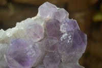 Natural Jacaranda Amethyst Clusters x 2 From Zambia