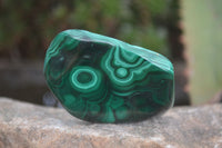 Polished Flower Banded Malachite Free Forms  x 12 From Congo - Toprock Gemstones and Minerals 