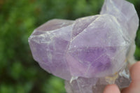 Natural Jacaranda Amethyst Clusters  x 3 From Mumbwa, Zambia - Toprock Gemstones and Minerals 