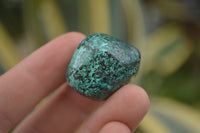 Polished  Small Shattuckite Hand Made Free Forms  - Sold per 350 g - From Congo - TopRock