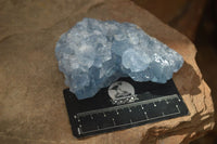 Natural Blue Celestite Crystal Specimens  x 3 From Sakoany, Madagascar - Toprock Gemstones and Minerals 