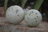 Polished Spotted Leopard Stone Spheres  x 2 From Zimbabwe - Toprock Gemstones and Minerals 