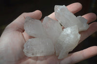 Natural Single Clear Quartz Crystals  x 22 From Zambia - Toprock Gemstones and Minerals 