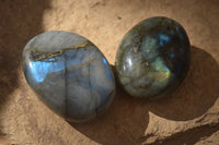 Polished  Flashy Labradorite Palm Stones  x 20 From Tulear, Madagascar