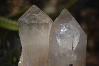 Natural Large Multi Terminated Quartz Crystal Point x 1 From Angola