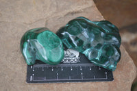 Polished Flower Banded Malachite Free Forms  x 12 From Congo - Toprock Gemstones and Minerals 