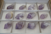 Natural Single Jacaranda Amethyst Crystals x 12 From Mumbwe, Zambia