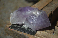 Natural Jacaranda Amethyst Clusters  x 2 From Zambia - Toprock Gemstones and Minerals 