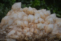 Natural Extra Large White Phantom Pineapple Quartz Cluster  x 1 From Madagascar - Toprock Gemstones and Minerals 