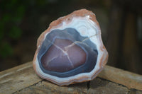 Polished Banded River Agate Nodules  x 6 From Sashe River, Zimbabwe - Toprock Gemstones and Minerals 