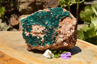 Natural Huge Museum Dioptase Specimen  x 1 From Congo - TopRock