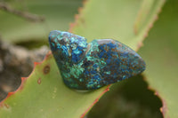 Polished  Small Shattuckite Hand Made Free Forms  - Sold per 350 g - From Congo - TopRock