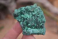 Natural Chatoyant Silky Malachite Specimens  x 12 From Kasompe, Congo