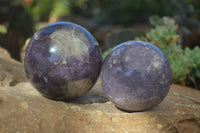 Polished Purple Lepidolite Spheres  x 2 From Madagascar