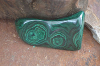 Polished Flower Banded Malachite Free Forms  x 12 From Congo - Toprock Gemstones and Minerals 