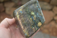 Polished Labradorite Standing Free Forms  x 2 From Tulear, Madagascar - TopRock