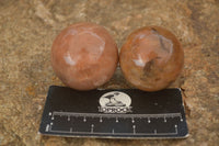 Polished Flashy Peach Moonstone Spheres  x 6 From Madagascar - Toprock Gemstones and Minerals 