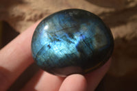 Polished  Flashy Labradorite Palm Stones  x 20 From Tulear, Madagascar