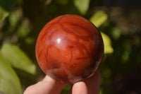 Polished  Carnelian Agate Spheres  x 3 From Madagascar