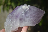 Natural Jacaranda Amethyst Clusters  x 2 From Zambia - Toprock Gemstones and Minerals 