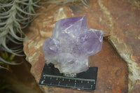 Natural Jacaranda Amethyst Clusters  x 3 From Mumbwa, Zambia - Toprock Gemstones and Minerals 