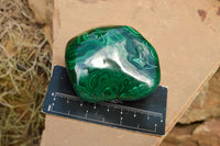 Polished Malachite Free Forms With Stunning Flower & Banding Patterns x 4 From Congo - TopRock